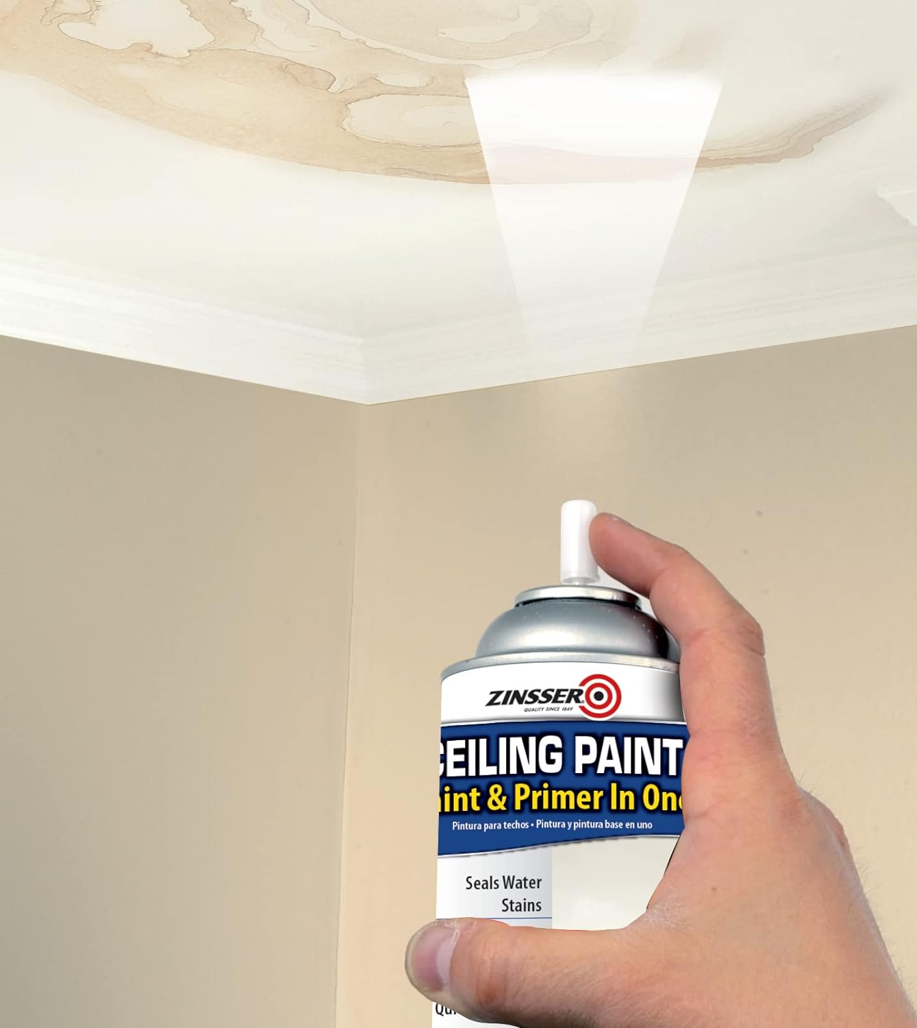 Top 7 Best Paint For Bathroom Ceiling 2024