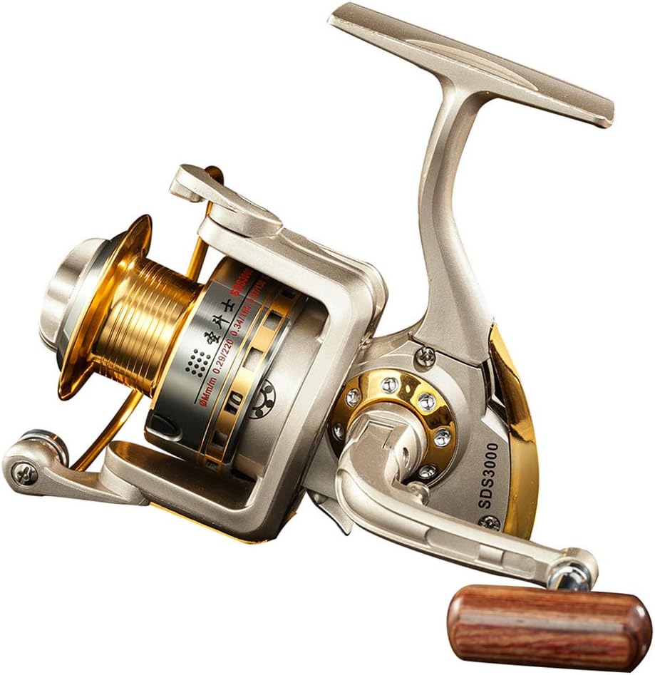 Diwa Spinning Fishing Reel Review